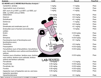 Mind & Body Wellness Tinctures