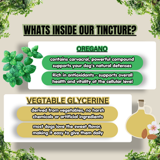 Dog Wellness Tincture
