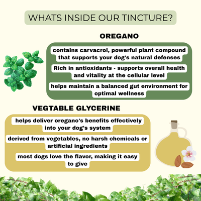 Dog Wellness Tincture