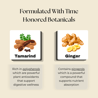 Mind & Body Wellness Tincture