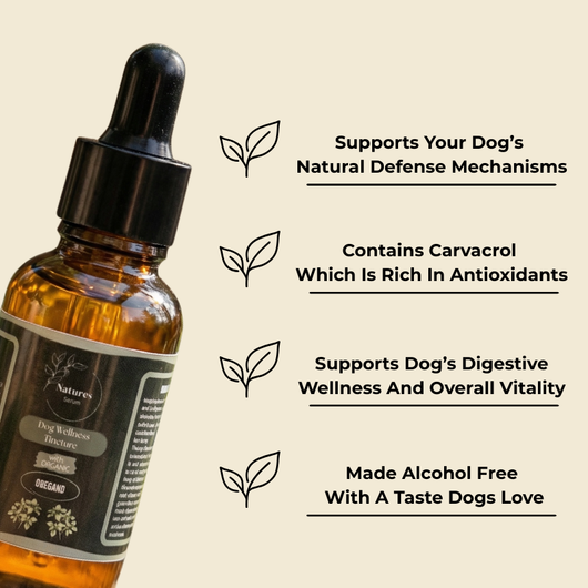 Dog Wellness Tincture