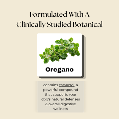 Dog Wellness Tincture