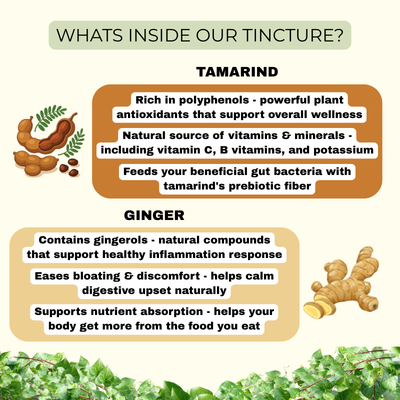 Mind & Body Wellness Tincture