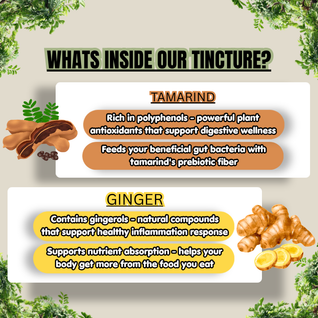 Mind & Body Wellness Tincture