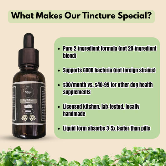 Dog Wellness Tincture