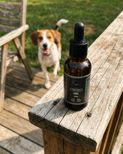 Customer testimonial video