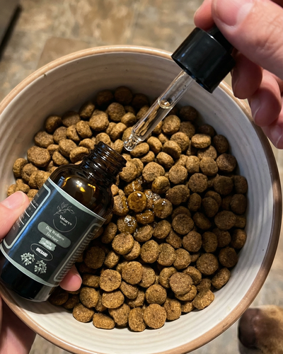 Customer testimonial video