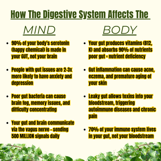 Mind & Body Wellness Tincture