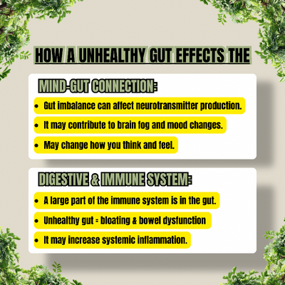 Mind & Body Wellness Tincture