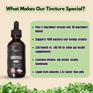 Mind & Body Wellness Tincture